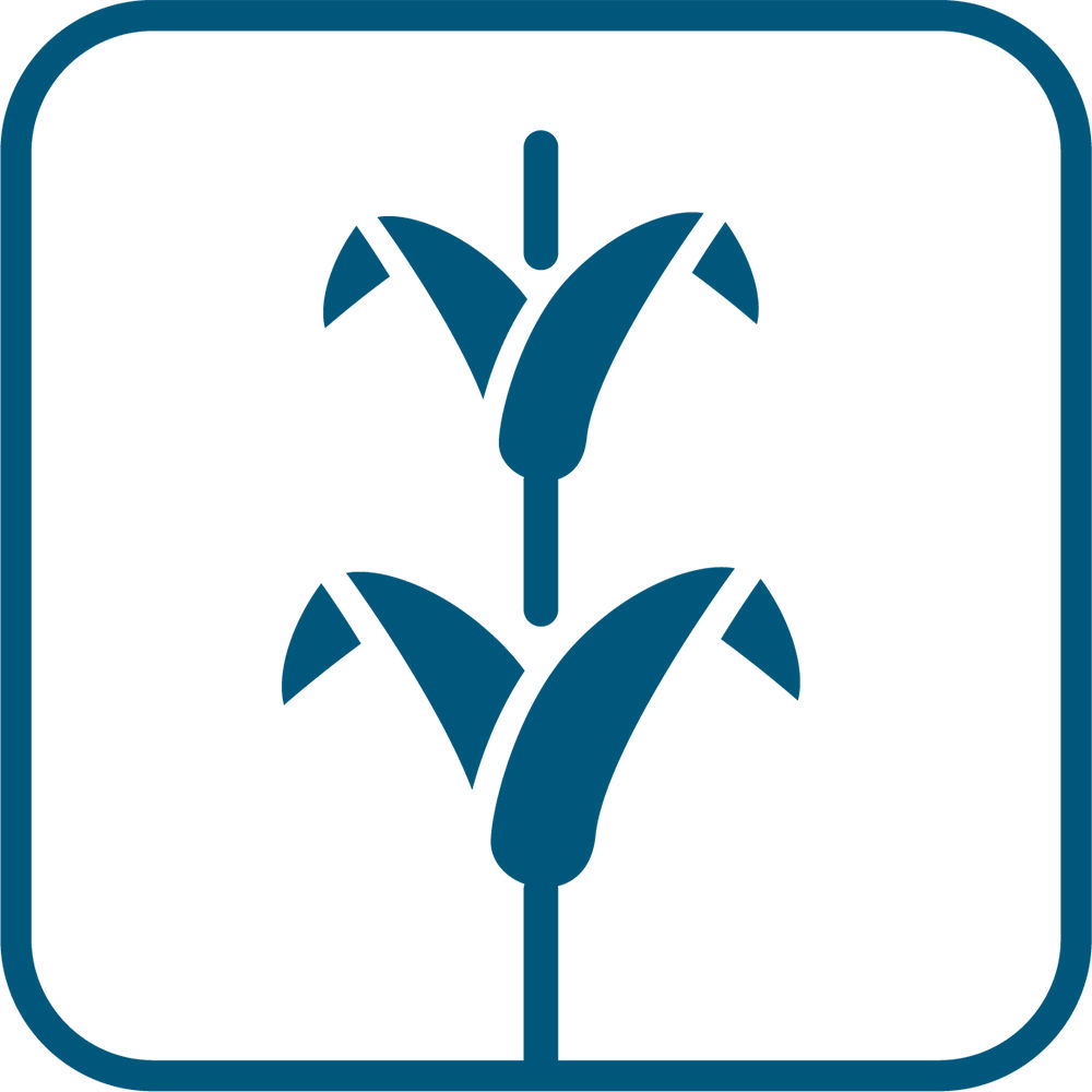 Силни стъбла